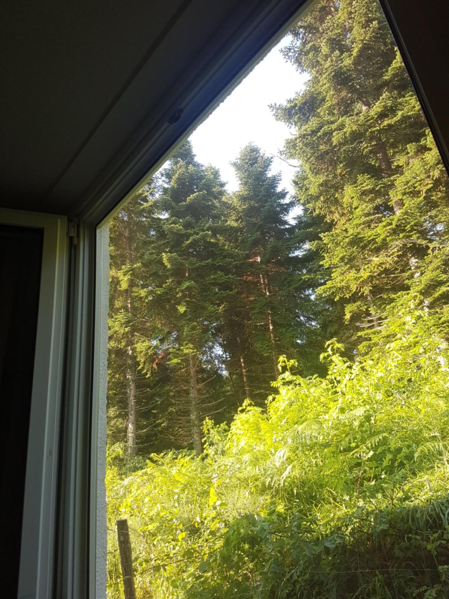 Mon Chalet En Ariege Avec Piscine Daumazan-sur-Arize Exterior foto